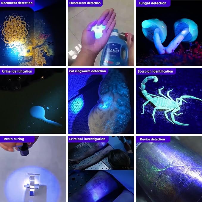 LIGHTFE UV304 UV Flashlight - High Power Ultraviolet - Rechargeable Type-C can be Used for UV Glue Curing, pet Urine Stains, ore Fluorescent Agent Detection…