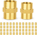 50-PCs HeSun Brass Pipe Fitting, 3/8" NPT Female x 3/8" NPT Female Hex Pipe Adapter