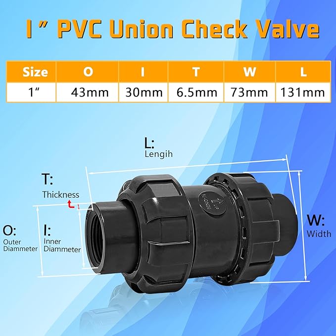 1in NPT PVC Spring Check Valve, UPVC Swing Utility Water One Way Check Valve, Sch80 Pool Ball Check Valve for Backflow Prevention