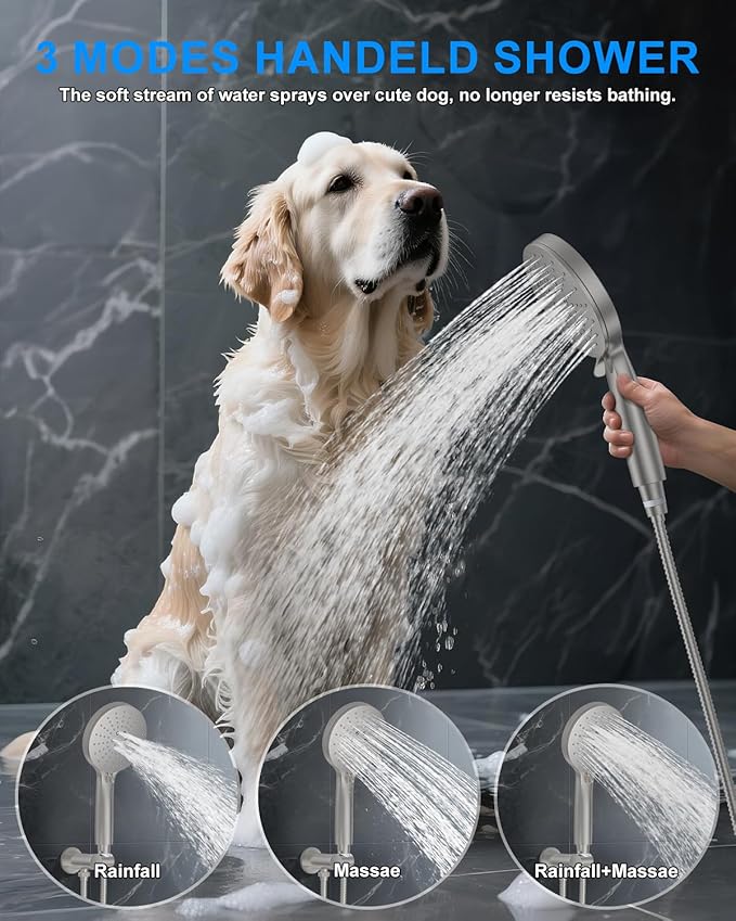 Shower System with Pressure Balance Valve, 10" Ceiling Mount Shower Faucet Set with 2 Rain Head and Multi-function Handheld Push Button Diverter Valve Kit,Brushed Nickel