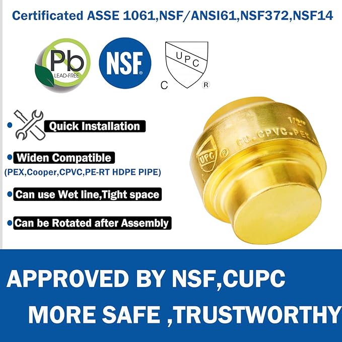 WHK 12 PACK 1/2" PEX Plug End CAP,Copper Cap 1/2" Push-to-Connect Plumbing Fitting for Copper PEX,CPVC With Disconnect Clip(Lead-Free Certificate)…