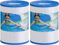 TOREAD PDM28 Spa Filter Replaces Aquarest Dream Maker 461273 Hot Tub Filter, 2PACK