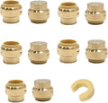 (Pack of 10) EFIELD 3/4 Inch Plug End Cap Push-Fit Fitting to Connect Pex, Copper, CPVC with Disconnect Clip,(PF100)