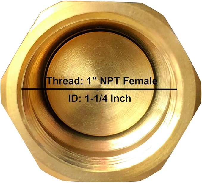Brass Foot Valve 1 inch NPT Heavy Duty Spring Mesh Check Valve Female Connection One Way Foot Valve Backflow Preventer with Holes Strainer Filter for Well Jet Pumps Foot Valve(1'' NPT)