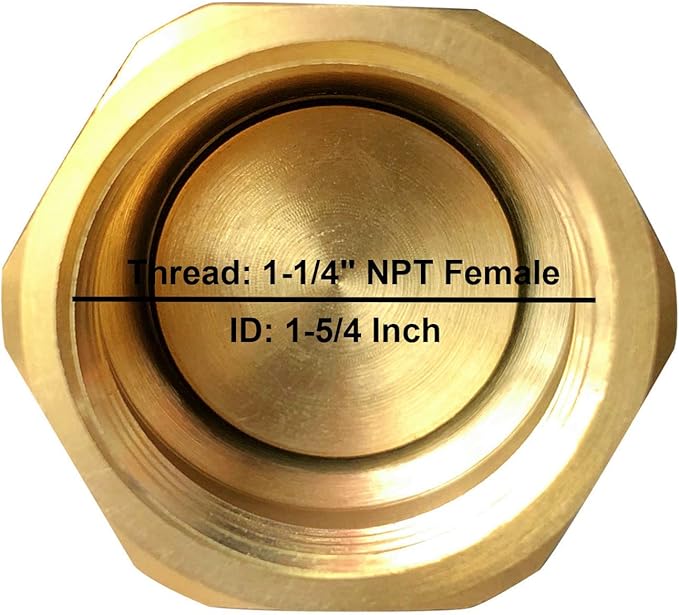 Brass Foot Valve 1-1/4 Inch NPT Heavy Duty Spring Mesh Check Valve Female Connection One Way Backflow Preventer With Holes Strainer Filter for Well Jet Pumps