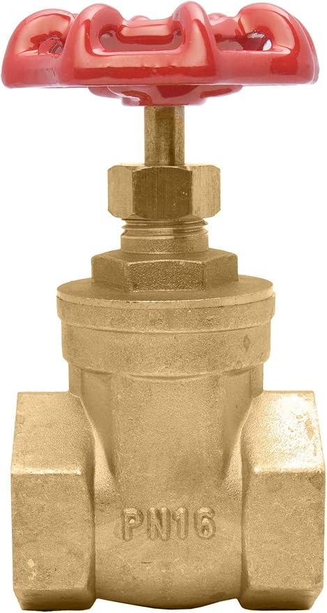 1" Brass Gate Valve - 200WOG, FxF NPT