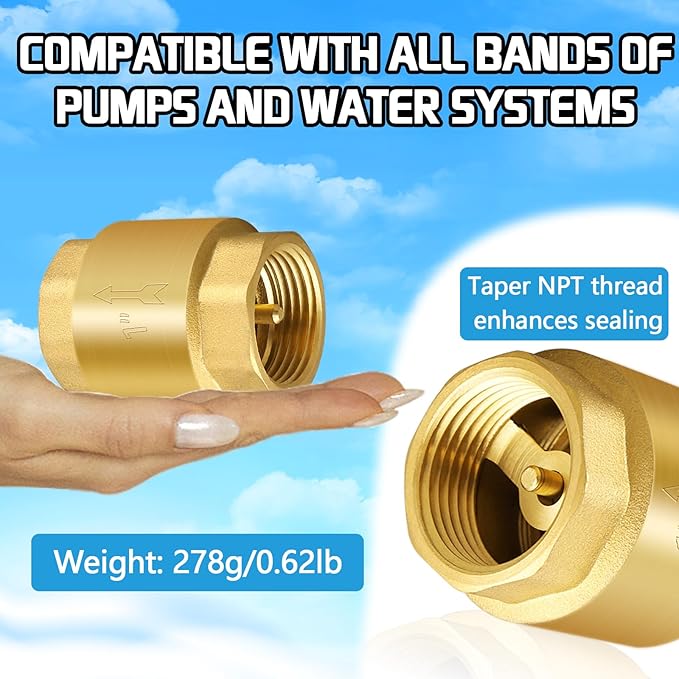 Boltigen 2PCS 1 Inch NPT Female Thread Spring Check Valve, Solid Brass Non Return One Way Horizontal Vertical In-Line Water Check Valve for Well, Pump, Tank, Backflow Prevention