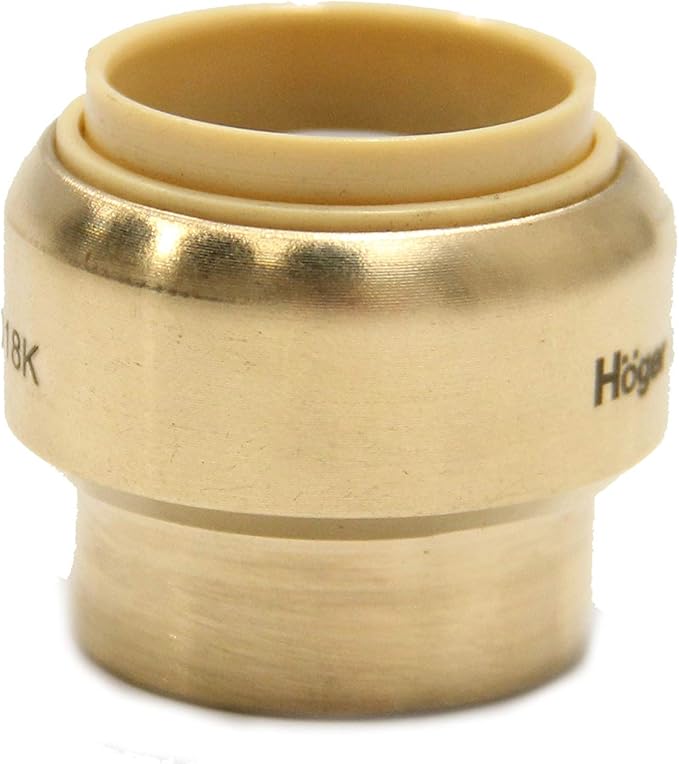 (Pack of 2) EFIELD 1/2 Inch Plug End Cap Push-Fit Fitting to Connect Pex, Copper, CPVC with Disconnect Clip,(PF143-2PCS)