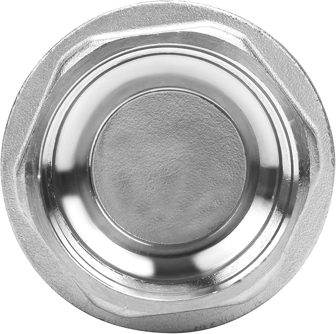1-1/4 Inch Vertical Check Valve SUS304 Spring Loaded Check Valve in-line Low Cracking Pressure CF8M WOG 1000