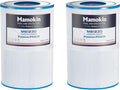 Oval Spa Filter PDM30 Replaces Dream Maker Hot Tubs 461269, Filbur FC9940M and Odyssey, Big EZ, EZL, Crossover 730L, 730S Hot Tub Filter - 2 Pack