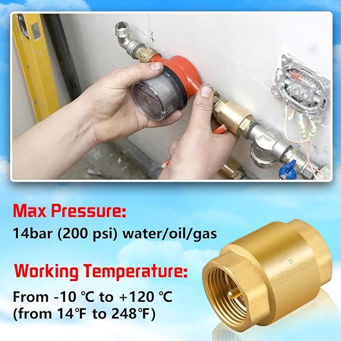 Boltigen 2PCS 1 Inch NPT Female Thread Spring Check Valve, Solid Brass Non Return One Way Horizontal Vertical In-Line Water Check Valve for Well, Pump, Tank, Backflow Prevention