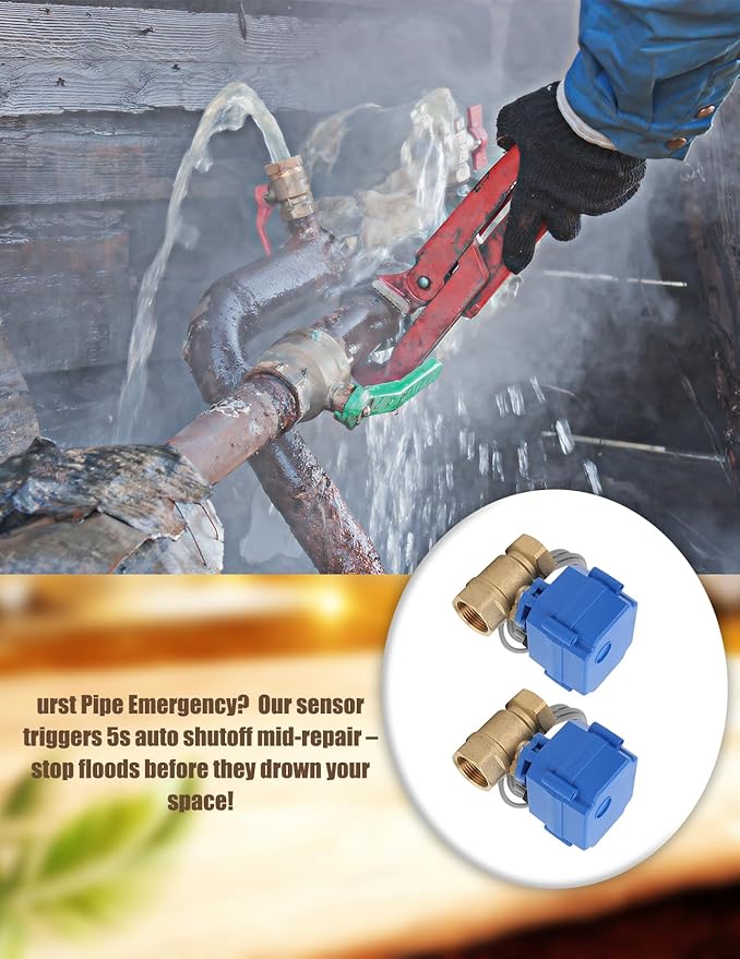Water Leak Shut Off Valve System for 1/2 Inch Pipes, Dual BSP Valves with Alarm & Visual Alerts, Protection for Laundry, Water Heaters, Bathrooms