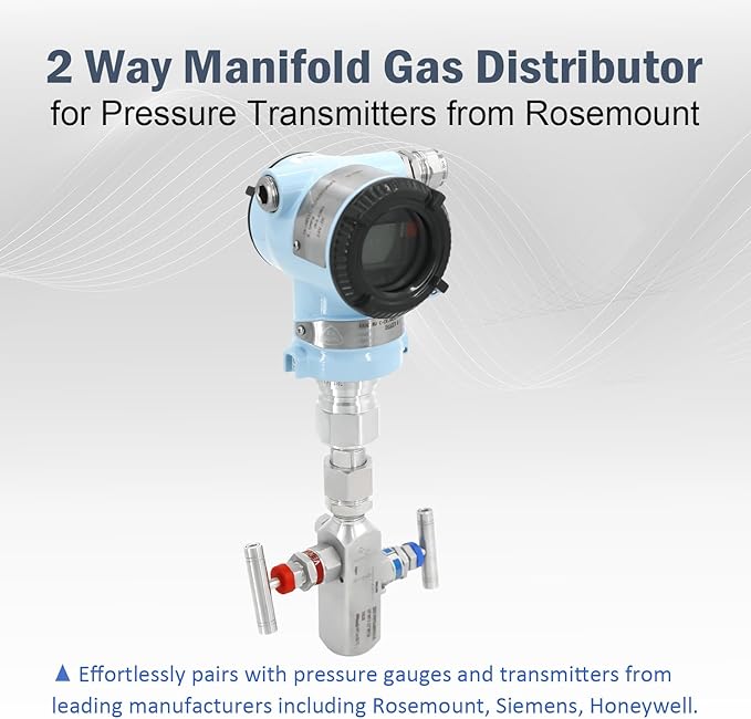 2 Valve Manifold 316 Stainless Steel 2 Way High Pressure Manifold Gas Distributor for Pressure Gauges and Pressure Transmitters from Rosemount, Siemens, Honeywell, E+H.