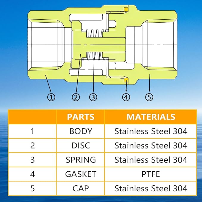 Boltigen 1 inch Spring Check Valve, 304 Stainless Steel CF8 Non Return One Way Horizontal Check Valve, Vertical Inline Water Check Valve for Well, Pump, Tank, Backflow Prevention, WOG 1000