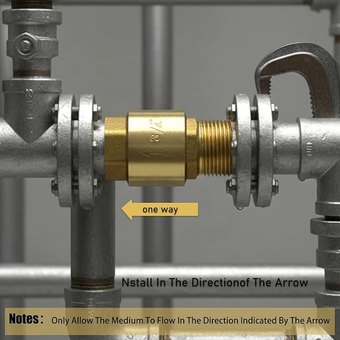 One Way 3/4 Inch Brass Check Valve, NPT Spring Loaded One Way Non Return Valve, Heavy Duty Backflow Suitable for Water Supply System (2 Pack)