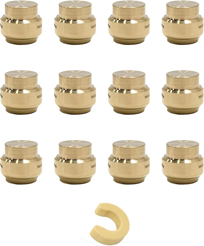 (Pack of 10) EFIELD 1 Inch Plug End Cap Push-Fit Fitting to Connect Pex, Copper, CPVC With Disconnect Clip,(PF101-10PCS)