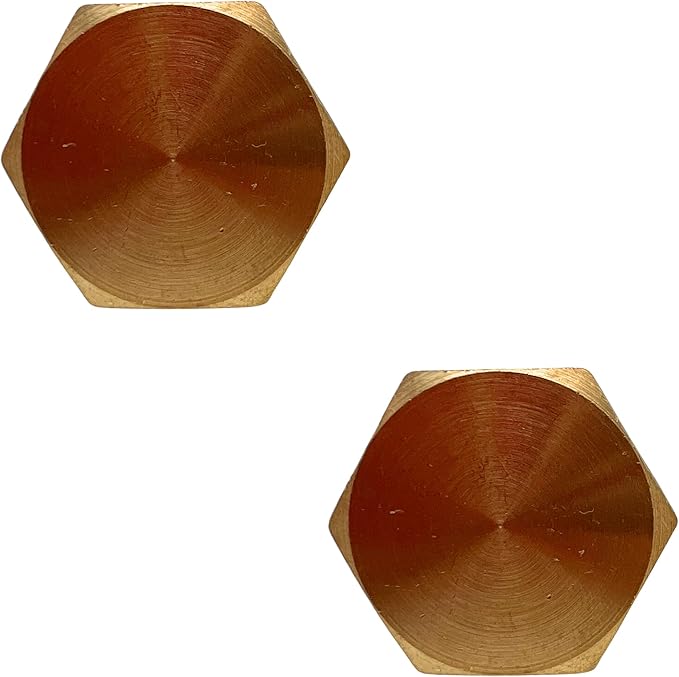2 Pack Brass Pipe Plug 3/8" NPT Male Outer Hex Head Socket Plug Fitting for Plumbing by CX WONDERLAND