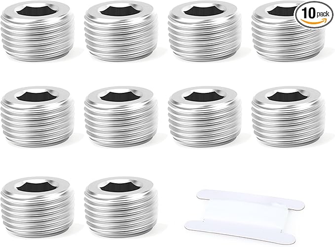 10PCS 304 Stainless Steel Internal Hex Thread Socket Pipe Plug Fitting, 1/8" NPT Male, for Fuel/Airl/Water/Gas/Oil
