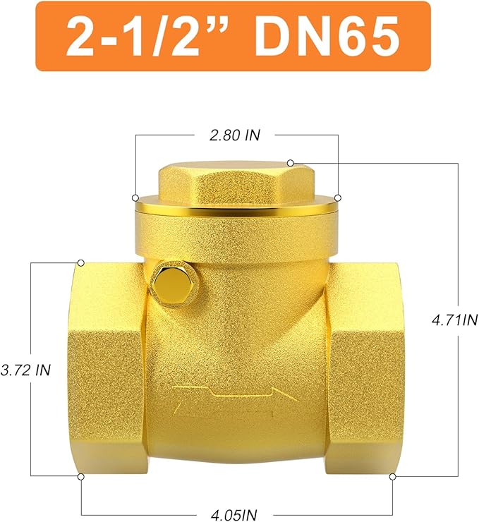 GASHER 1PC Swing Brass Check Valve DN65 2-1/2" Female Thread, Backflow Prevention, One Way Check Valves for Sump Pump and Air Compressor, Gas Air Fuel Oil Water