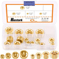 Rustak 16 Pcs Brass Pipe Plugs Assortment Set 1/8" 1/4" 3/8" 1/2" NPT Brass Pipe Fitting, Internal Hex Thread Socket Plug Kit for Water Pump Ports, Oil Sender Holes, Engine Block