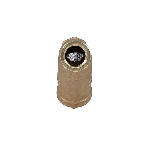 Zurn Wilkins 34-SXL 3/4" SXL Cast Bronze Wye Type Strainer