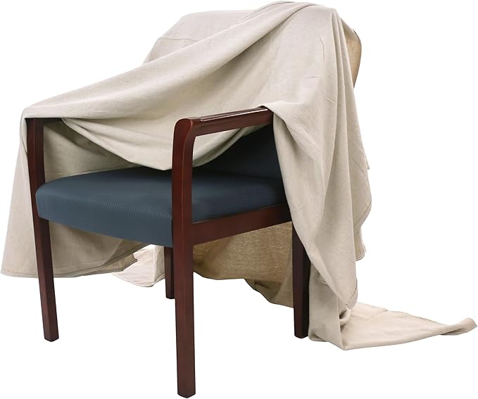 EZ Drop Painter's Large Canvas Fabric Drop Cloth for Painting (20 ft. x 20 ft.)
