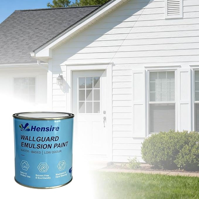 Hensire Wallguard Masonry Paint - Waterproof Water-Based Exterior Paint for Concrete & Brick, Low Odor Durable Matt Finish for Stone, Pebbledash & Ironwork Surfaces (Black, 170Fl oz/5L)