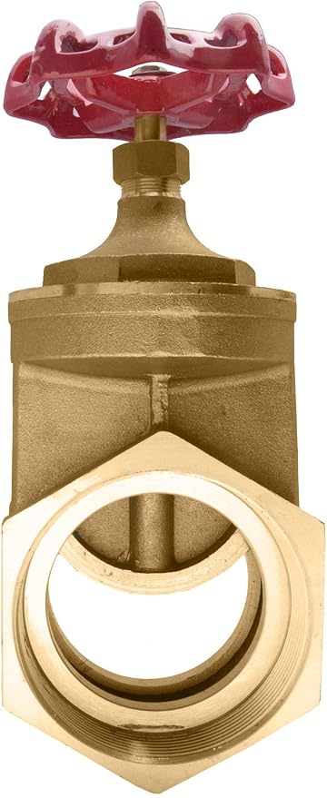 4" Brass Gate Valve - 200WOG, FxF NPT
