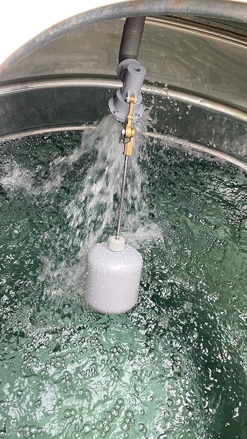 ABS Balanced Float Ball Valve, 100 psi Pressure, 3/4 inch PT Male