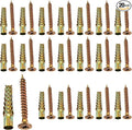 20 Pack Heavy Duty Hollow Wall Anchors with Screws, Metal Expansion Anchors for Drywall Loose Hinge Hole Repair Kit for Concrete and Plaster Wooden Wall (6x32mm)