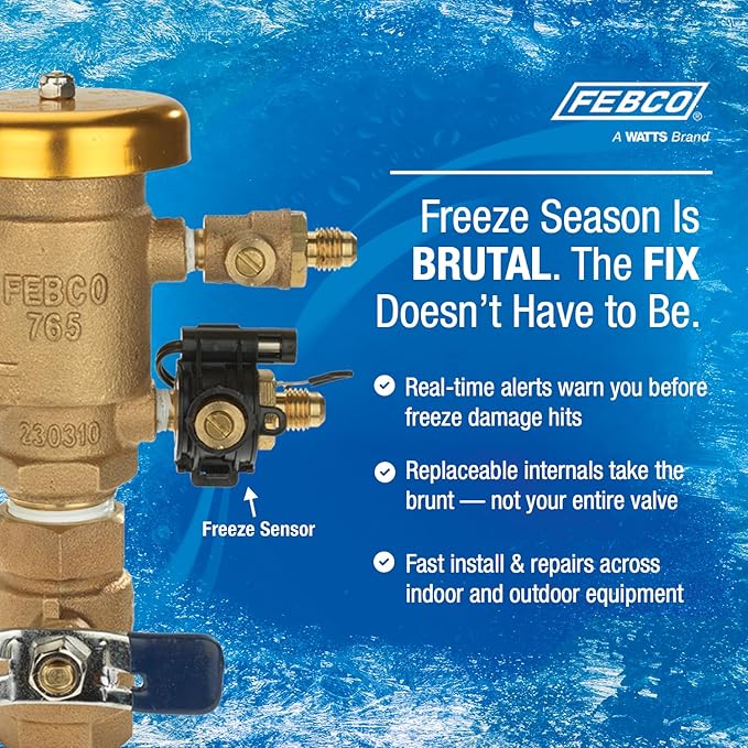 Febco 765 Series 2" Bronze Pressure Vacuum Breaker Backflow Preventer, Quarter Turn Shutoff, NPT Connections, Spring-Loaded Check Valves, Max Pressure 150 psi, Industrial Plant, Irrigation System