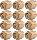 SharkBite 1/2 Inch Push Cap, Pack of 12, Push to Connect Brass Plumbing Fitting, PEX Pipe, Copper, CPVC, PE-RT, HDPE, U514LF