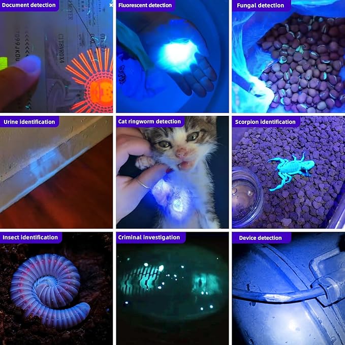 LIGHTFE UV305 High-Power UV Flashlight USB Rechargeable, Used for Hunting Ore, Scorpion and UV Glue Curing, Checking Pet Urine Stains, Identifying Currency, Official Anti-Counterfeiting Documents…