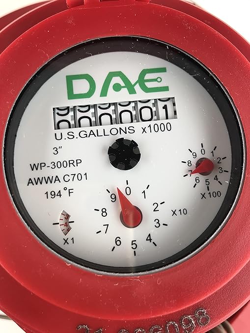DAE WP-300RP 3" Woltmann Hot Water Meter, Pulse Output, Gallon