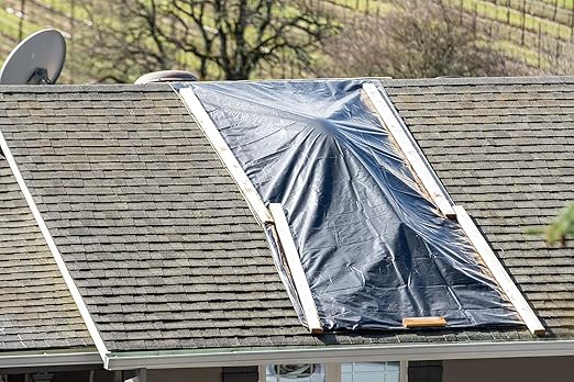 Aluf Plastics Black Plastic Sheeting - 4 Rolls of 10' x 100', 6 MIL Heavy Duty Gauge - Vapor and Moisture Barrier Sheet Tarp/Drop Cloth for Painting, Furniture Covers, Carpet Cover, Floor, Paint