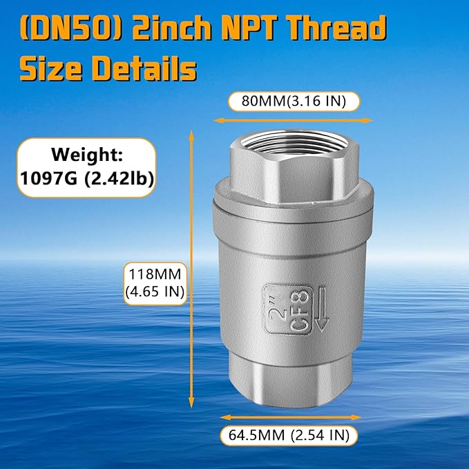 Boltigen 2 inch Spring Check Valve, 304 Stainless Steel CF8 Non Return One Way Horizontal Check Valve, Vertical Inline Water Check Valve for Well, Pump, Tank, Backflow Prevention, WOG 1000