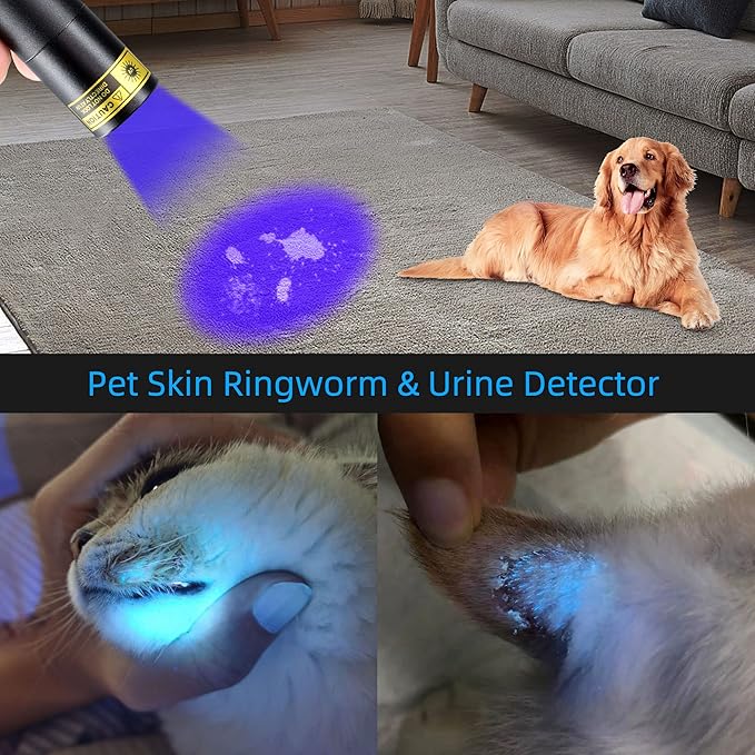 DARKDAWN UV 365nm Black Lights Mini Flashlight USB Rechargeable, Woods Lamp Portable LED Ultraviolet Pocket 370nm - Blacklight for Cat Urine Detection, Stains, Uranium Glass, Leak Detection, V4 365 nm