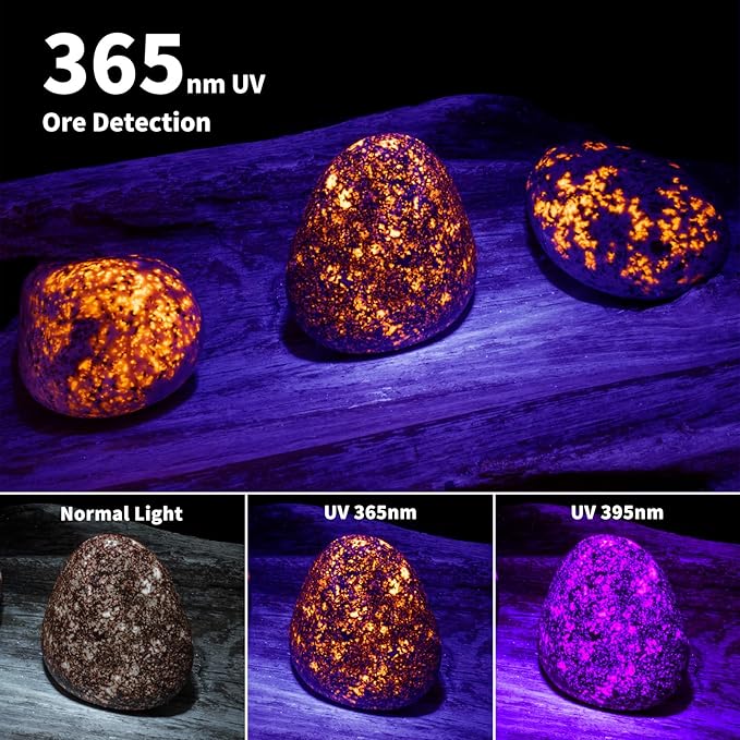 ULTRAFIRE 365nm UV Flashlight, Black Light Flashlight Mini, UV Light Rechargeable Woods Lamp, Blacklight for Pet Urine Detection, Ore, Stains, Leak Detection