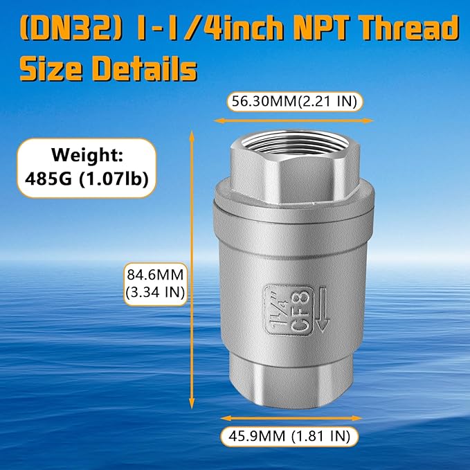 Boltigen 1-1/4 inch Spring Check Valve, 304 Stainless Steel CF8 Non Return One Way Horizontal Check Valve, Vertical Inline Water Check Valve for Well, Pump, Tank, Backflow Prevention, WOG 1000