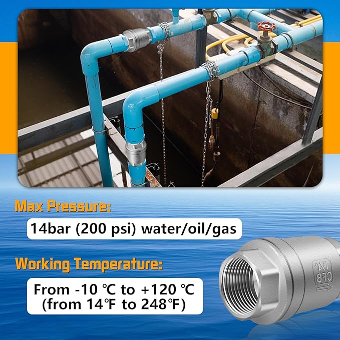 Boltigen 1-1/4 inch Spring Check Valve, 304 Stainless Steel CF8 Non Return One Way Horizontal Check Valve, Vertical Inline Water Check Valve for Well, Pump, Tank, Backflow Prevention, WOG 1000