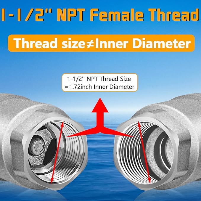Boltigen 1-1/2 inch Spring Check Valve, 304 Stainless Steel CF8 Non Return One Way Horizontal Check Valve, Vertical Inline Water Check Valve for Well, Pump, Tank, Backflow Prevention, WOG 1000