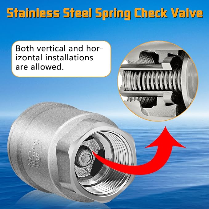 Boltigen 2 inch Spring Check Valve, 304 Stainless Steel CF8 Non Return One Way Horizontal Check Valve, Vertical Inline Water Check Valve for Well, Pump, Tank, Backflow Prevention, WOG 1000