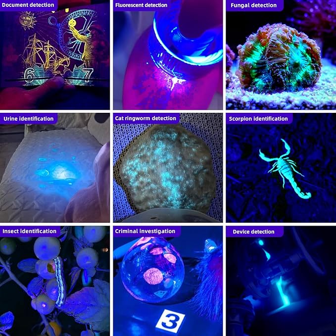 LIGHTFE UV305 High-Power UV Flashlight USB Rechargeable, Used for Hunting Ore, Scorpion and UV Glue Curing, Checking Pet Urine Stains, Identifying Currency, Official Anti-Counterfeiting Documents…