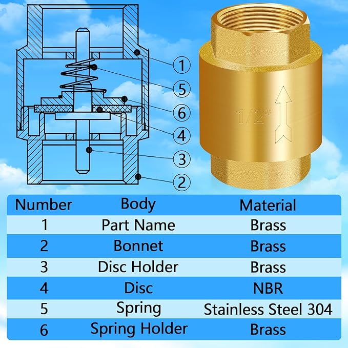 Boltigen 2PCS Solid Brass Spring Check Valve, 1/2 Inch NPT Female Thread Non-Return One-Way Horizontal and Vertical In-Line Water Valve for Well, Pump, Tank, Backflow Preventer