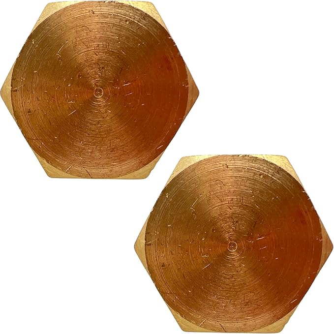 2 Pack Brass Pipe Plug 1" NPT Male Outer Hex Head Socket Plug Fitting for Plumbing by CX WONDERLAND