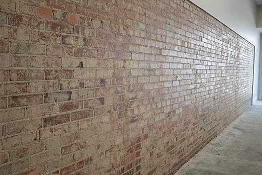 Brick Sealer Satin Sheen - Water Based, Reduces Dust, Easy Clean - 1 Gallon