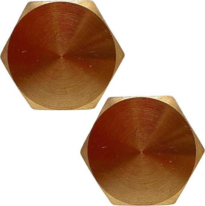 2 Pack Brass Pipe Plug 3/4" NPT Male Outer Hex Head Socket Plug Fitting for Plumbing by CX WONDERLAND