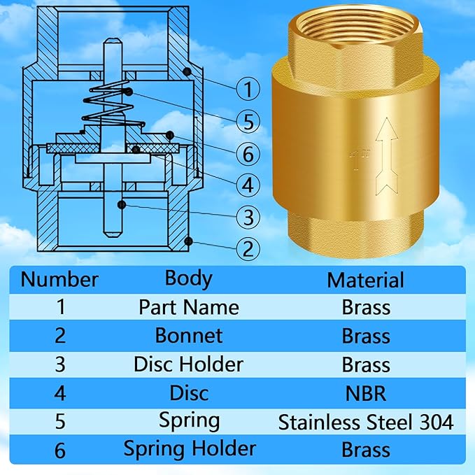 Boltigen 2PCS 1 Inch NPT Female Thread Spring Check Valve, Solid Brass Non Return One Way Horizontal Vertical In-Line Water Check Valve for Well, Pump, Tank, Backflow Prevention