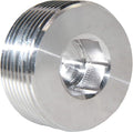 Joywayus Stainless Steel Internal Hex Countersunk Thread Socket Pipe Plug 2"NPT Male