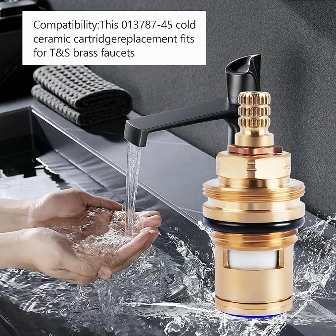 013787-45 Ceramic Cartridge Assembly Replacement for T&S Brass Faucets,Pressure 20PSI-125PSI, Temperature 40F-140F (Cold)